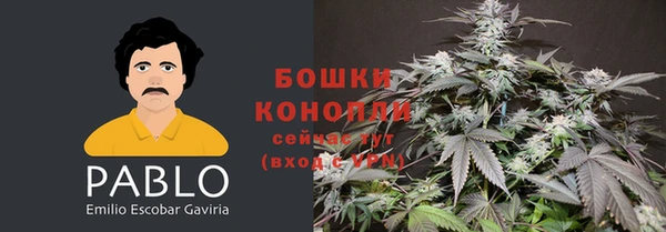 PSILOCYBIN Нефтегорск