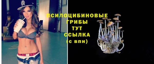 соль курить ск Нея