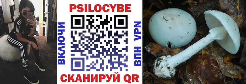 Галлюциногенные грибы мухоморы  Уяр 